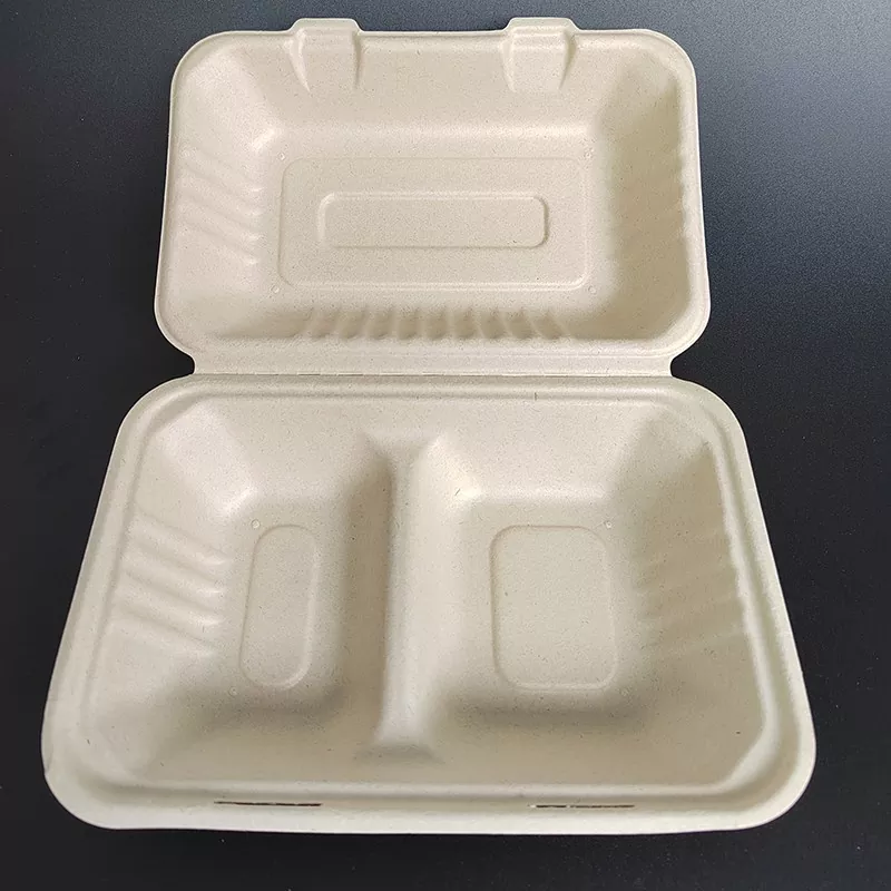 PLA Food-Grade Disposable Lunch Box